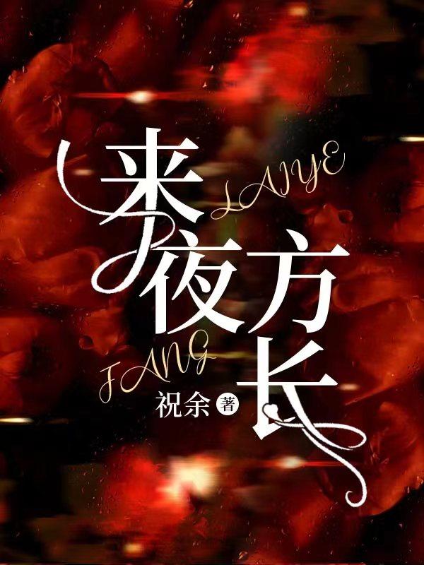 来夜方长咖喱乌冬